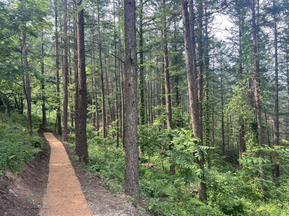 춘천시, 4억 원 투입 대룡산 산책로 1.5㎞ 추가 조성