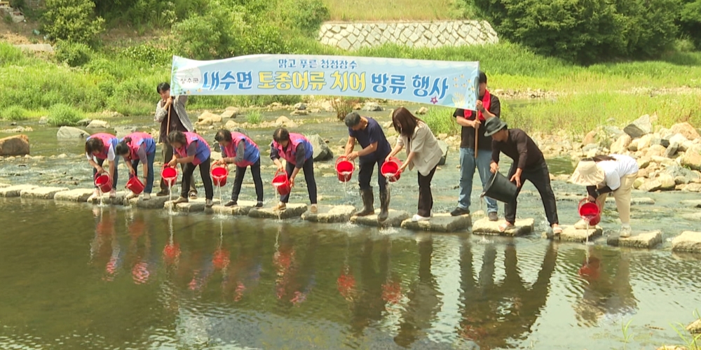 장수군, 어류 전염병 검사 통과한 '메기 치어' 약 9만 미 방류