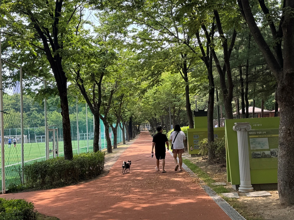 노원구, 마들체육공원 재생사업 완료