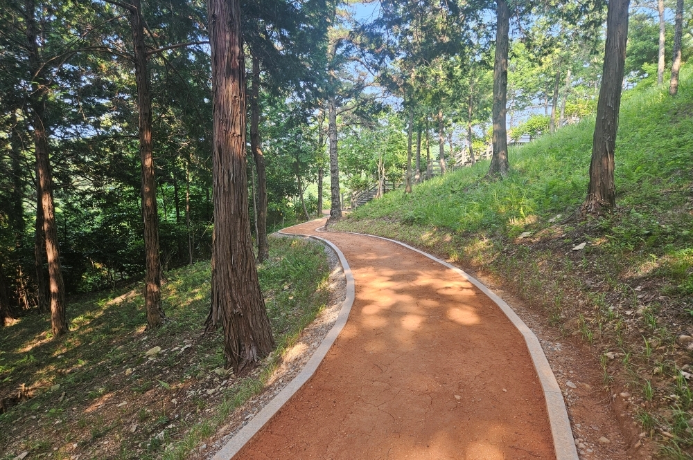 완도군, 편백숲 산림공원에 ‘어싱 로드’ 개통