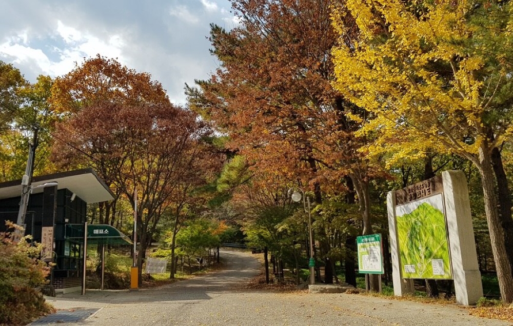경주시, '토함산자연휴양림' 반려동물 동반 전용 객실로 시범운영
