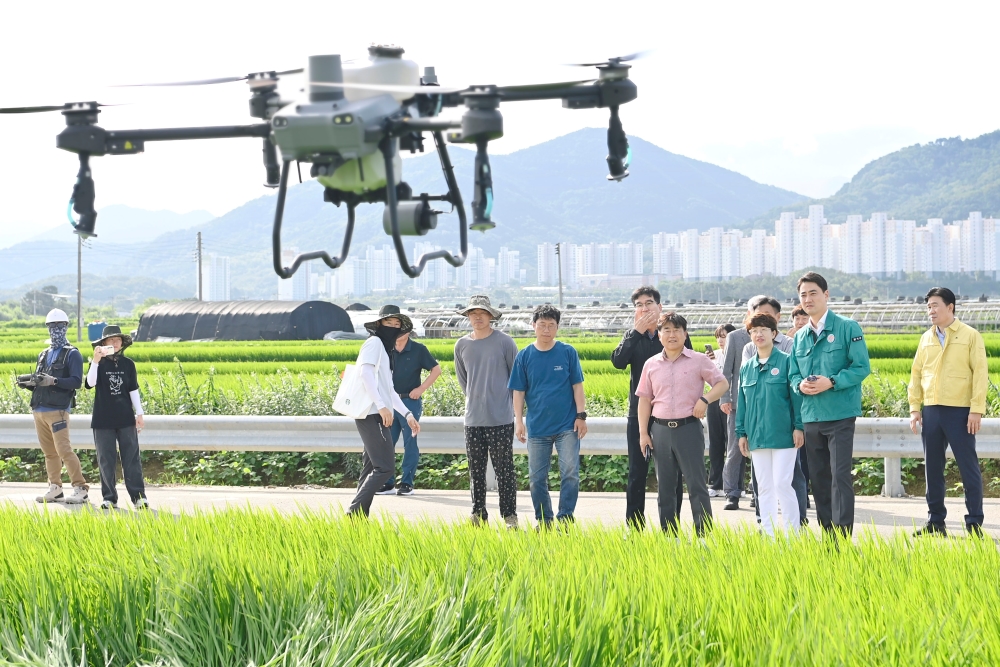 달성군, 관내 벼 재배지 2,640ha 대상 '항공방제' 실시