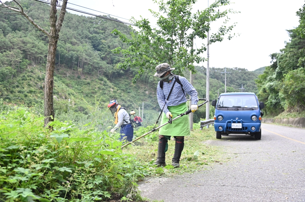 전국 최고 청정지역 청송군, 명품 산림자원 보호 '적극 앞장’