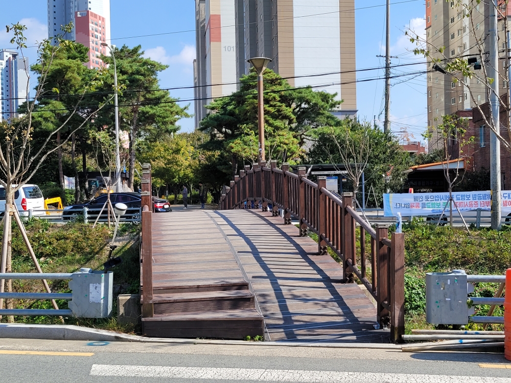 대구선 반야월공원 보도교 평탄화 공사, 지역주민 '큰 호응'