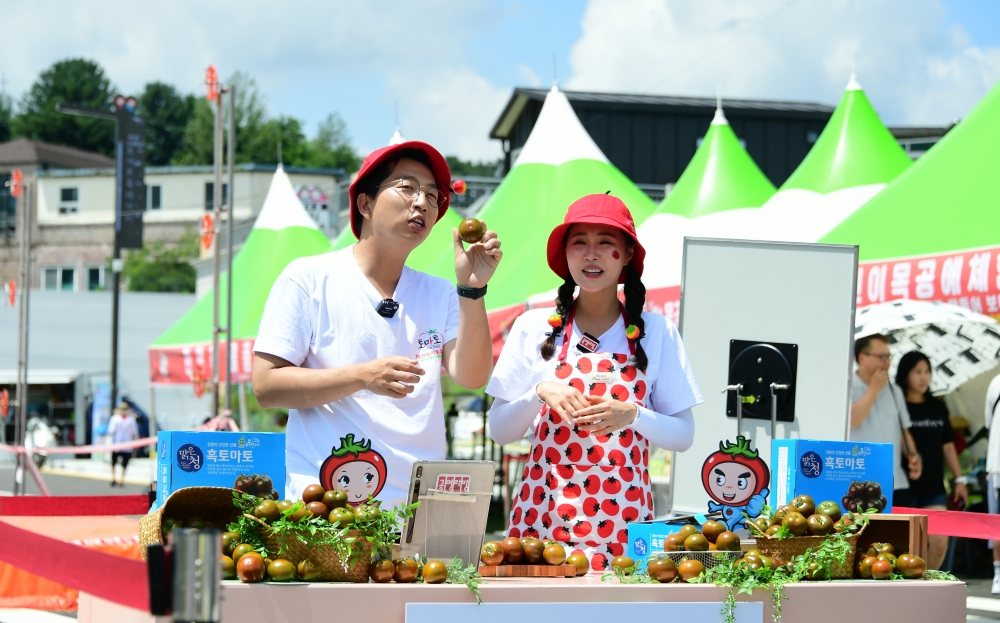 화천토마토축제 명품 토마토 안방에서 공영쇼핑으로 구매