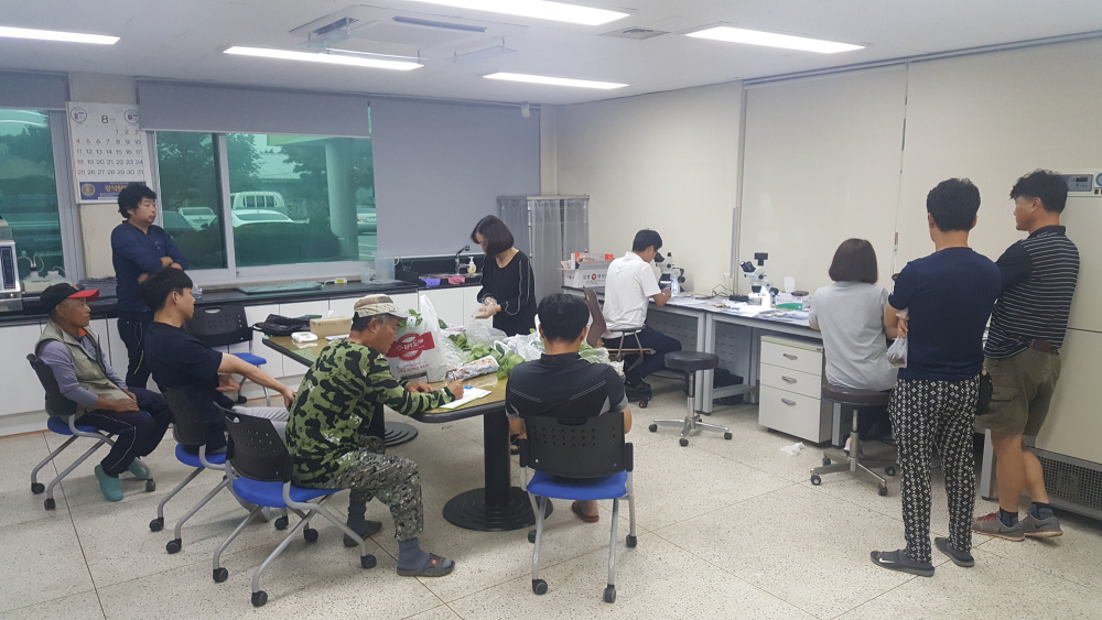 국내 최대 딸기 주산지 논산시, 딸기 정식묘 수급 정상화 통한 농가 안정 도모