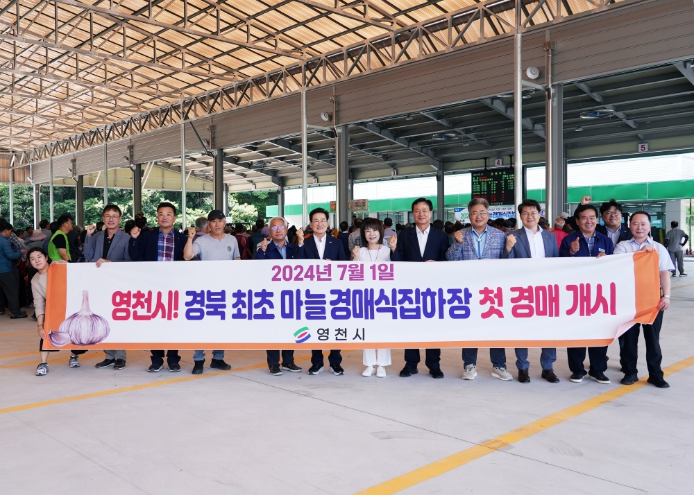 영천시, 경북 최초 마늘경매식집하장 첫 경매 개시!