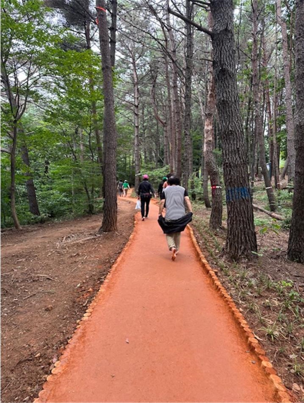 양산시, 웅상체육공원 솔밭공원 내 '황톳길 조성공사' 완료