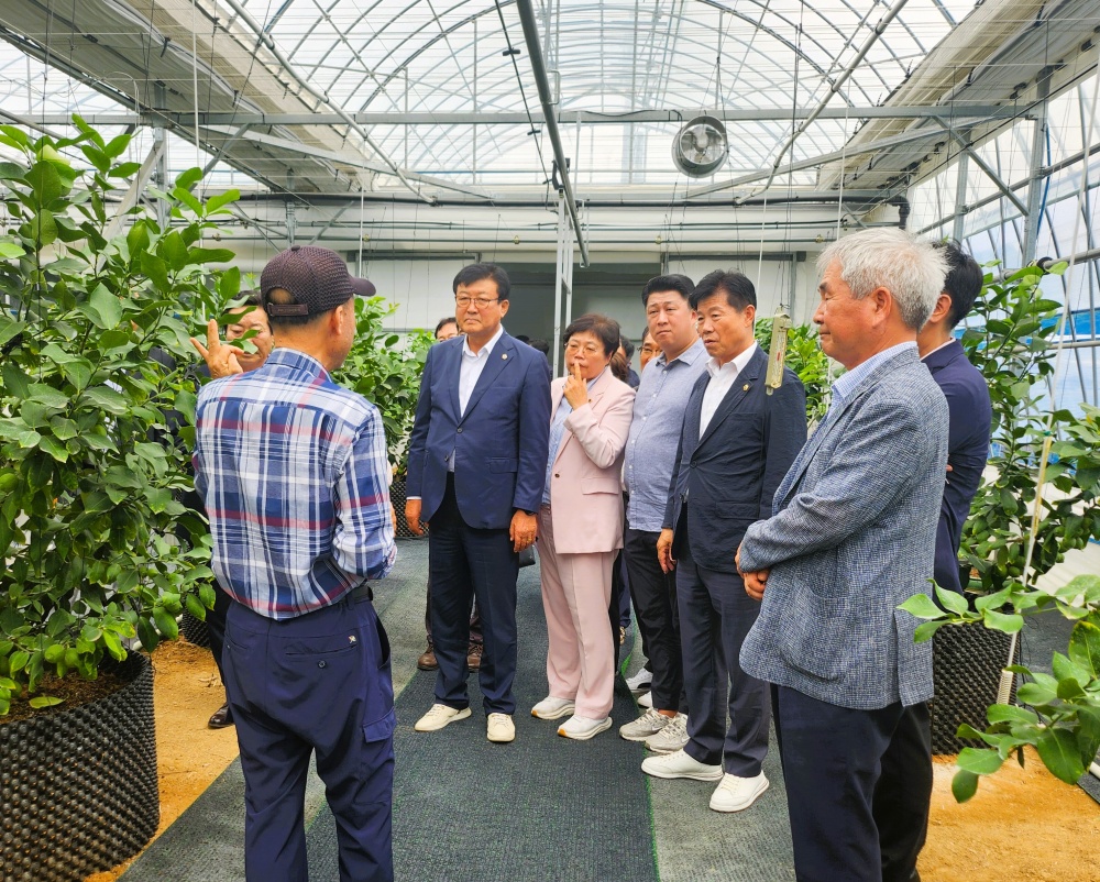 장성군, 명품 아열대 과일 ‘장성 레몬’ 상품성 높인다