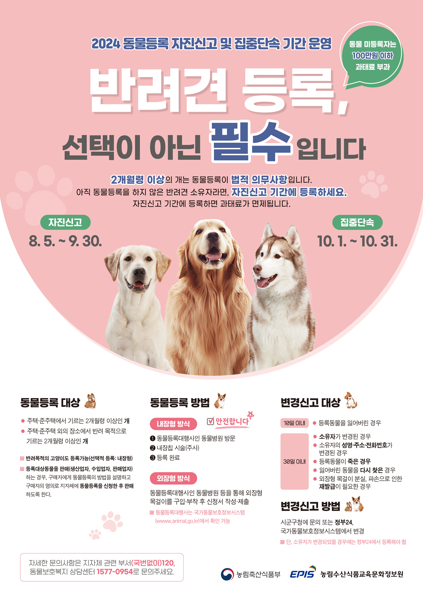 해운대구, 반려동물 등록 자진신고 기간 운영