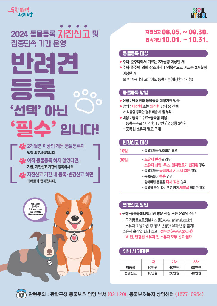 서울 강서구, 9월 말까지 동물등록 자진신고 기간 운영