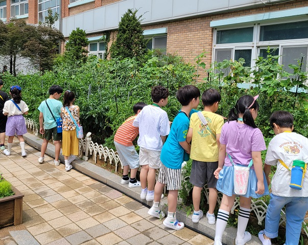 금천구, 어린이 농부들의 '우리 학교 텃밭 가꾸기'