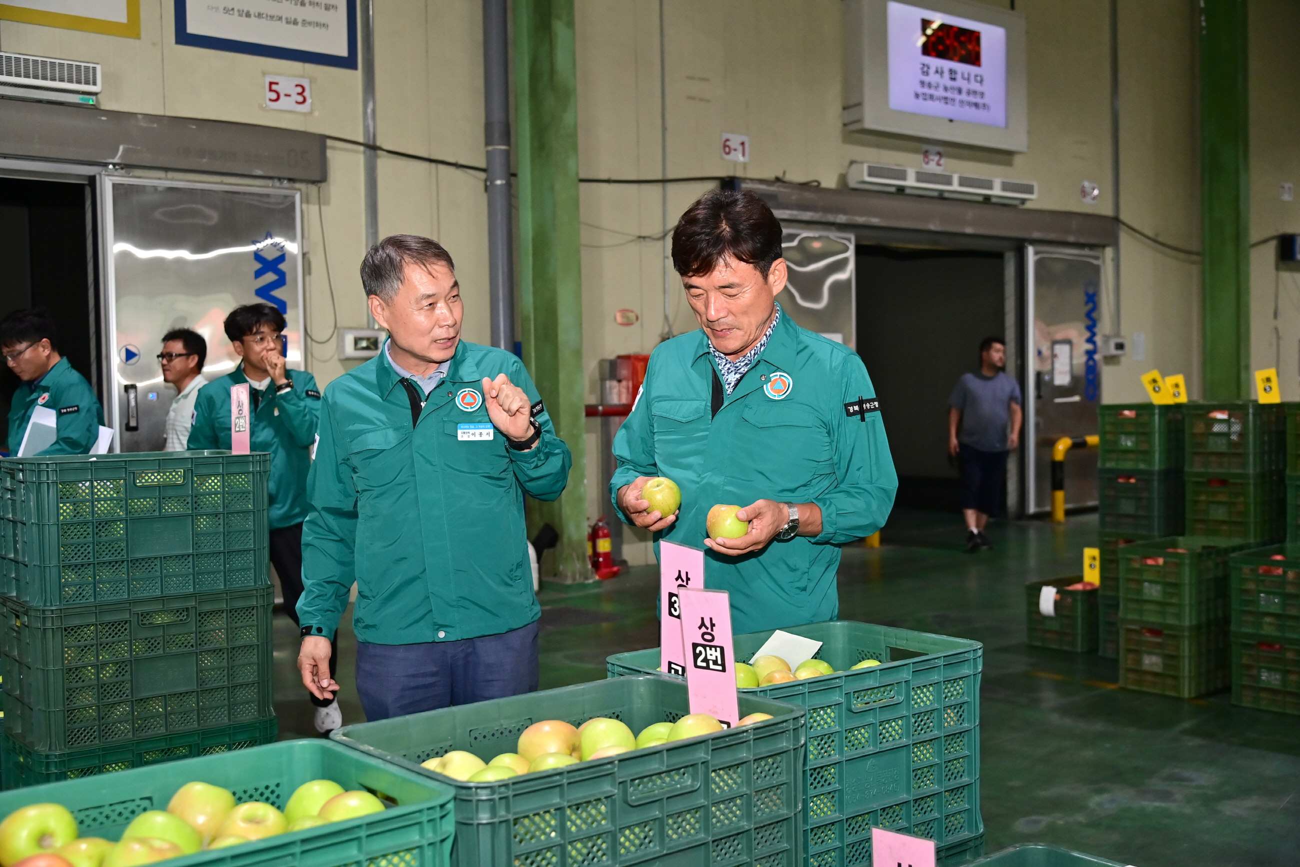 청송군농산물공판장 개장, 2024년산 사과 경매 시작