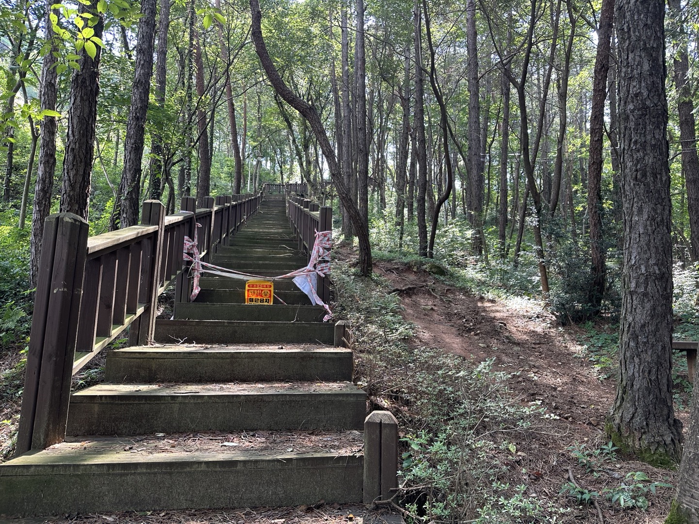 장성군, 제봉산 등 주요 등산로 시설 정비