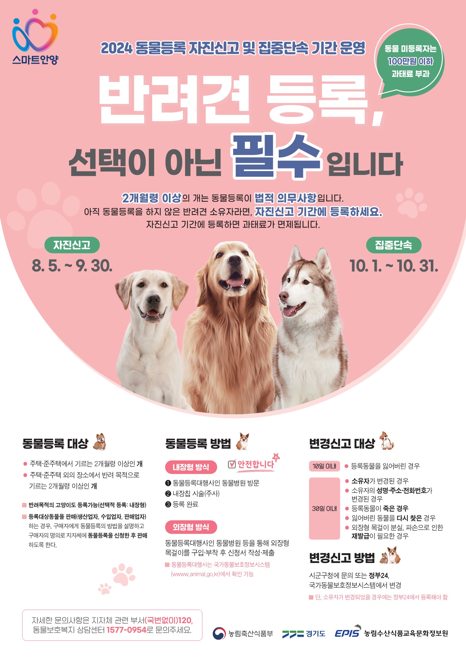 안양시, 반려견 동물등록 자진신고 기간 운영