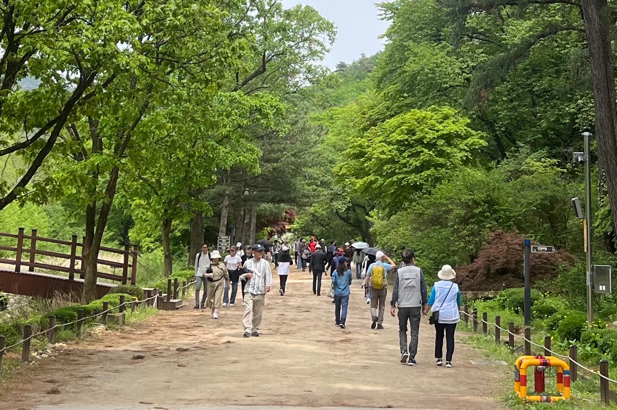 안양시, '한국-인도 현대작가교류전' 맞춰 '서울대 관악수목원' 일부 개방