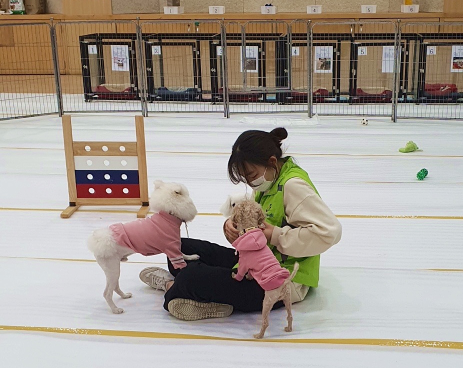 노원구, 추석 연휴 반려견 돌봄 쉼터 운영