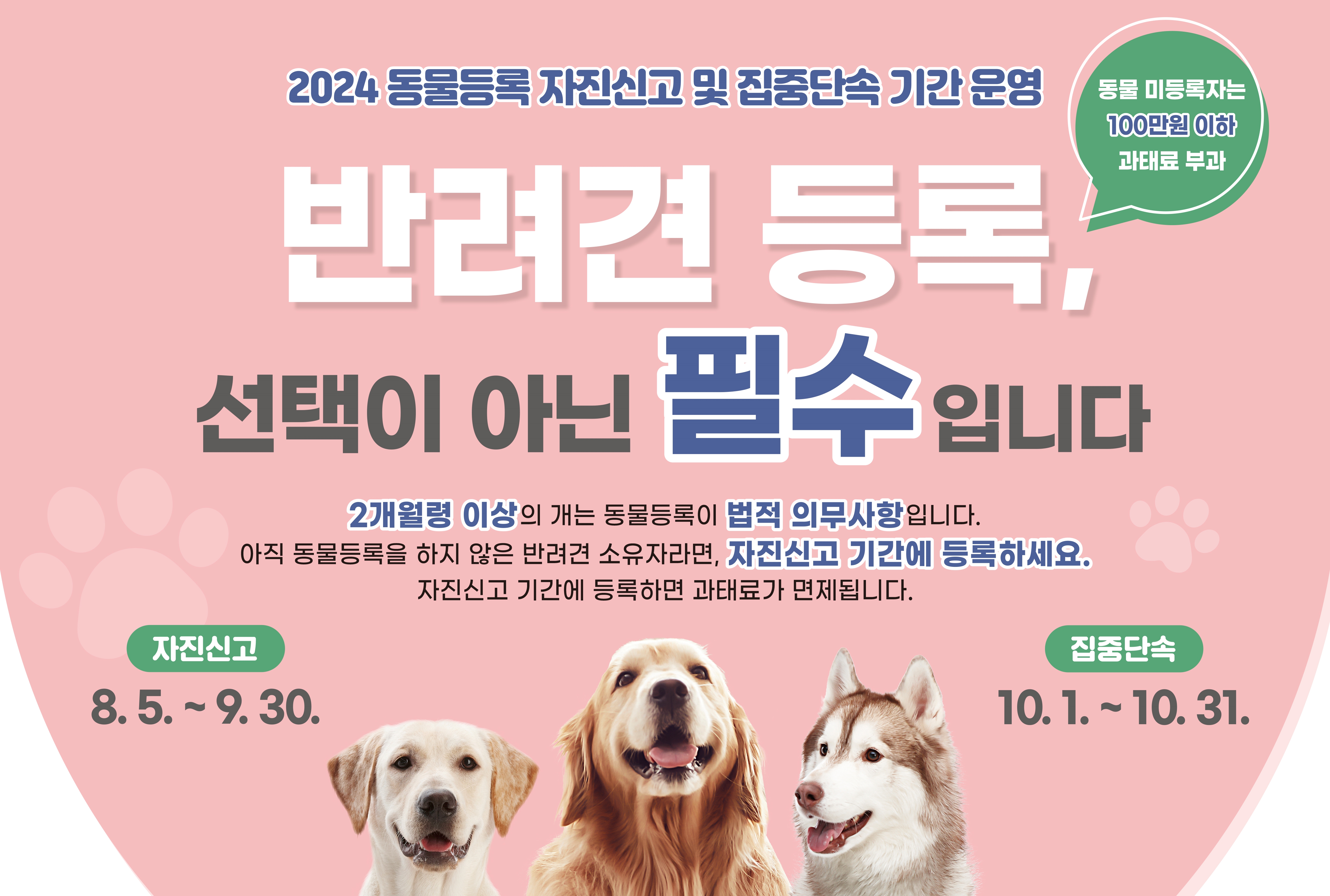나주시, 9월까지 동물등록 자진신고기간 운영