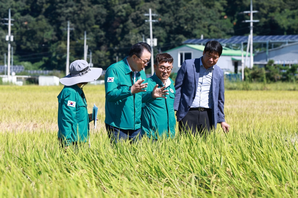 화순군, 벼멸구 피해대응 긴급방제비 지원 신속 결정