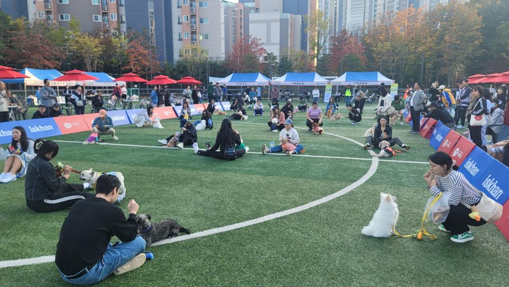 중구, 반려견 축제 '2024 해피투개(dog)더' 개최