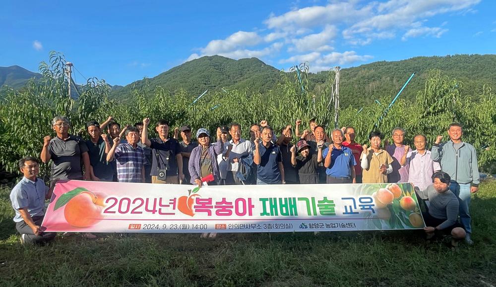 함양군, 고품질 복숭아 생산 위한 재배기술 교육 실시