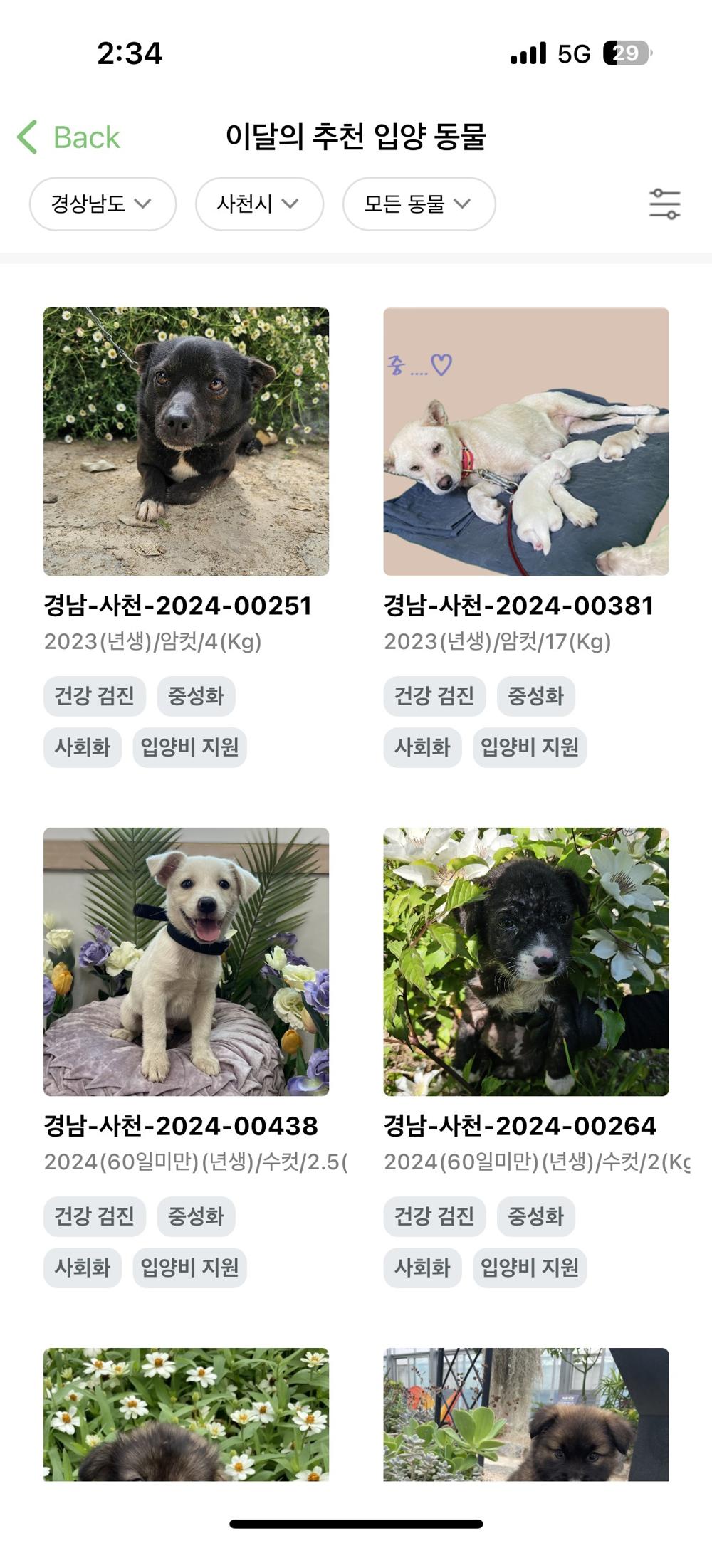 사천시, 유기동물 입양률 전국 1위 도전! '포인핸드' 도입