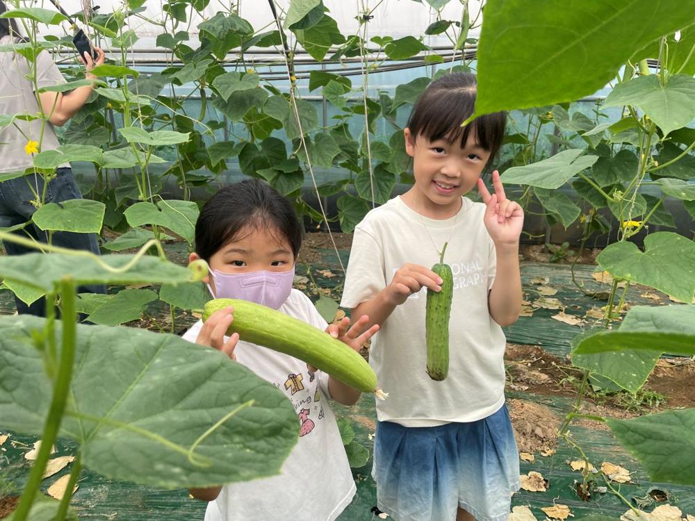 안양·군포·의왕·과천 공동급식지원센터, '건강 쑥쑥, 채소놀이터' 추진 및 평가회 개최