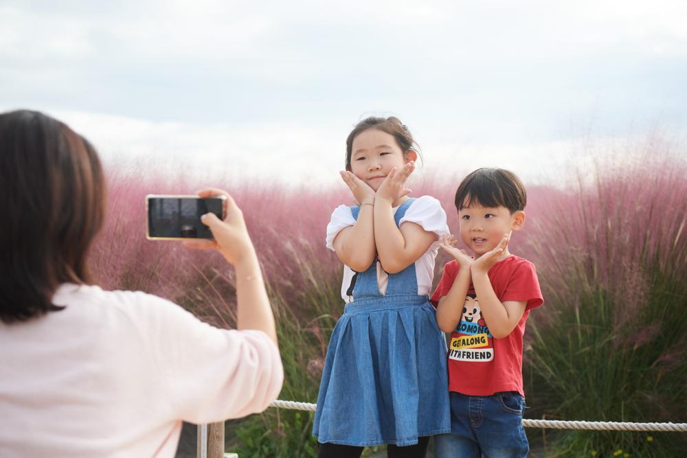 양주 천만송이 천일홍 축제, 가을꽃 사이에서 웃음꽃 활짝