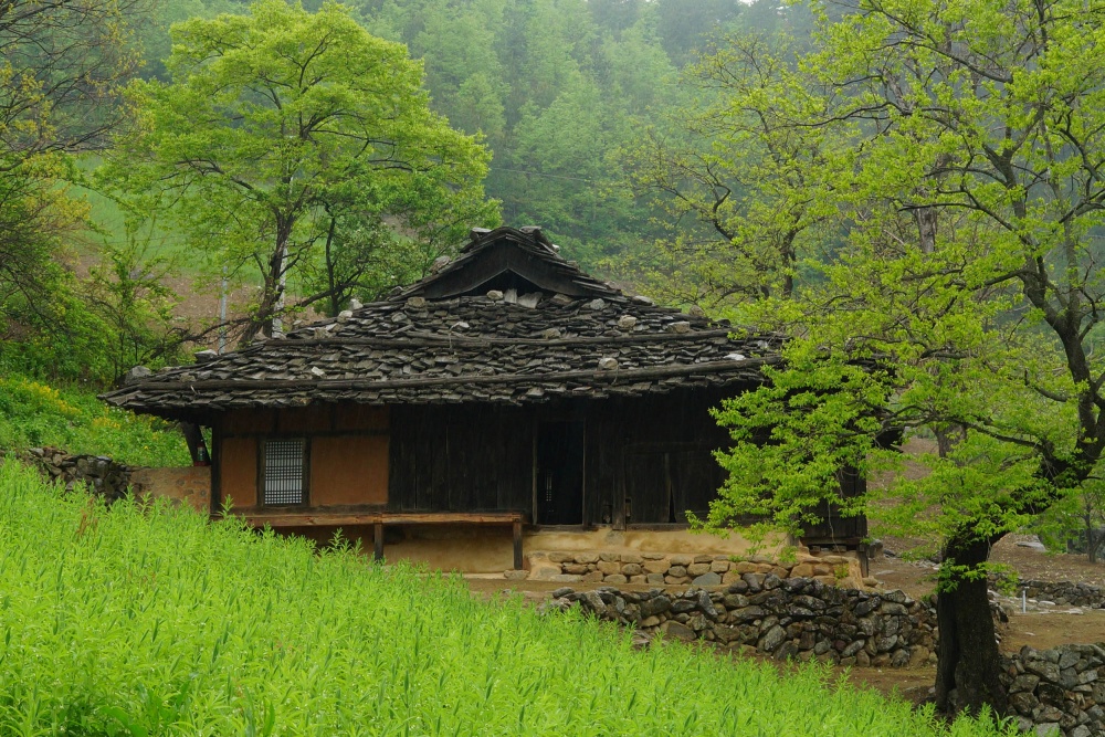 삼척시, 미래 무형유산 '너와·굴피 채취 및 잇기' 학술대회 개최