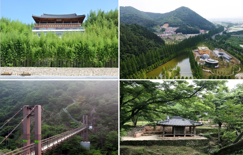 담양군, 추석 당일 대표 유료 관광지 무료 개방