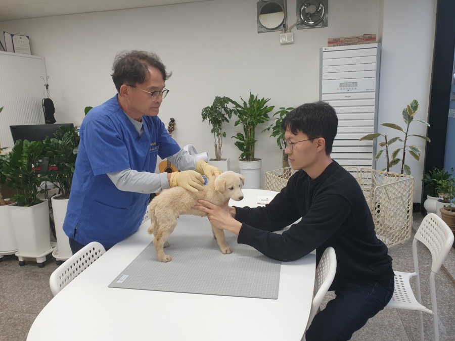 봉화군, '반려동물 등록 대행기관' 유치로 등록률 향상 기대