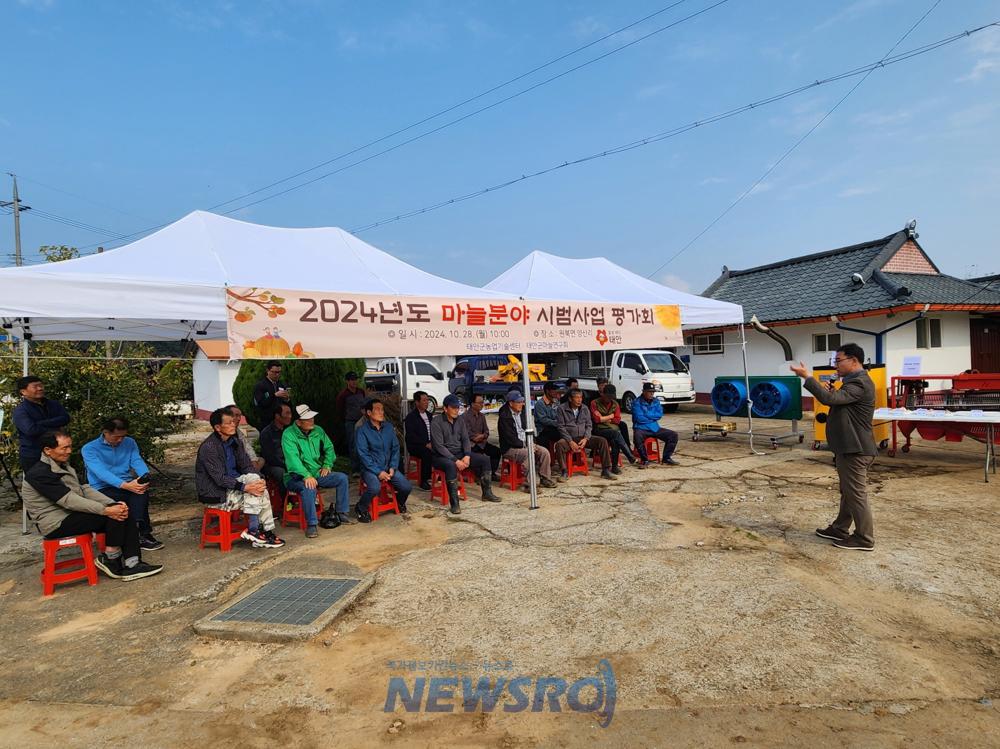 태안군, 마늘분야 시범사업 성과 빛나
