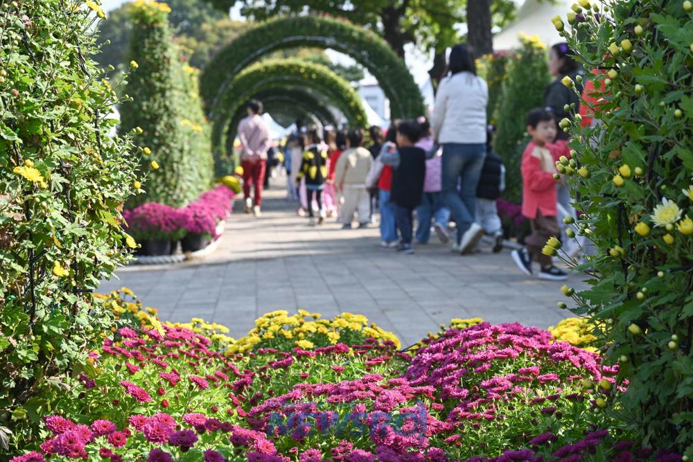 홍성에서 국화축제와 바비큐 페스티벌 동시 개최