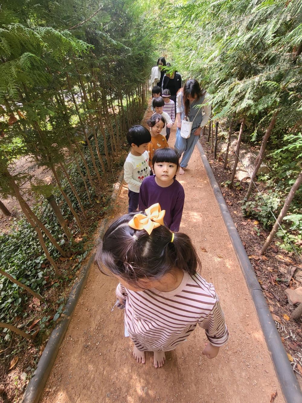 노원구, 불암산 산림치유센터에서 '아토피 Free 숲 체험' 프로그램 운영