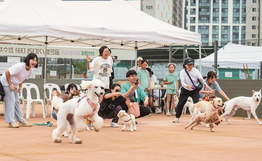 멍멍! 신나요"…가을 나들이 행복하개