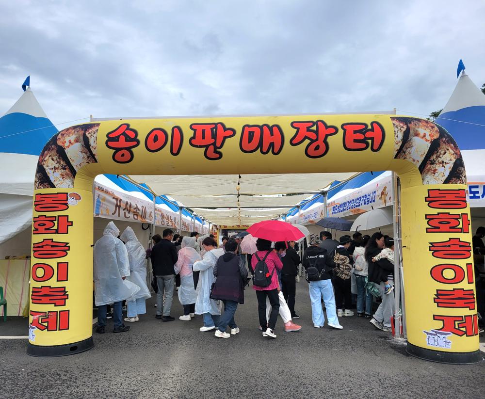 '제28회 봉화송이축제' 화려한 막 올려