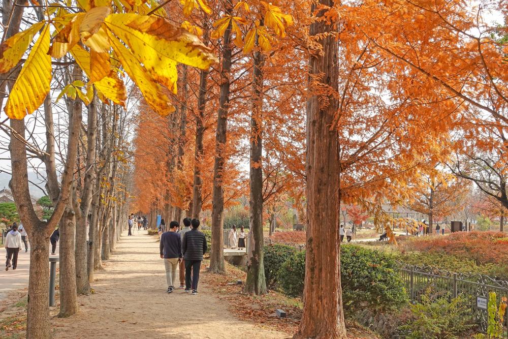 경주 가을 단풍 여행, 놓치지 마세요!