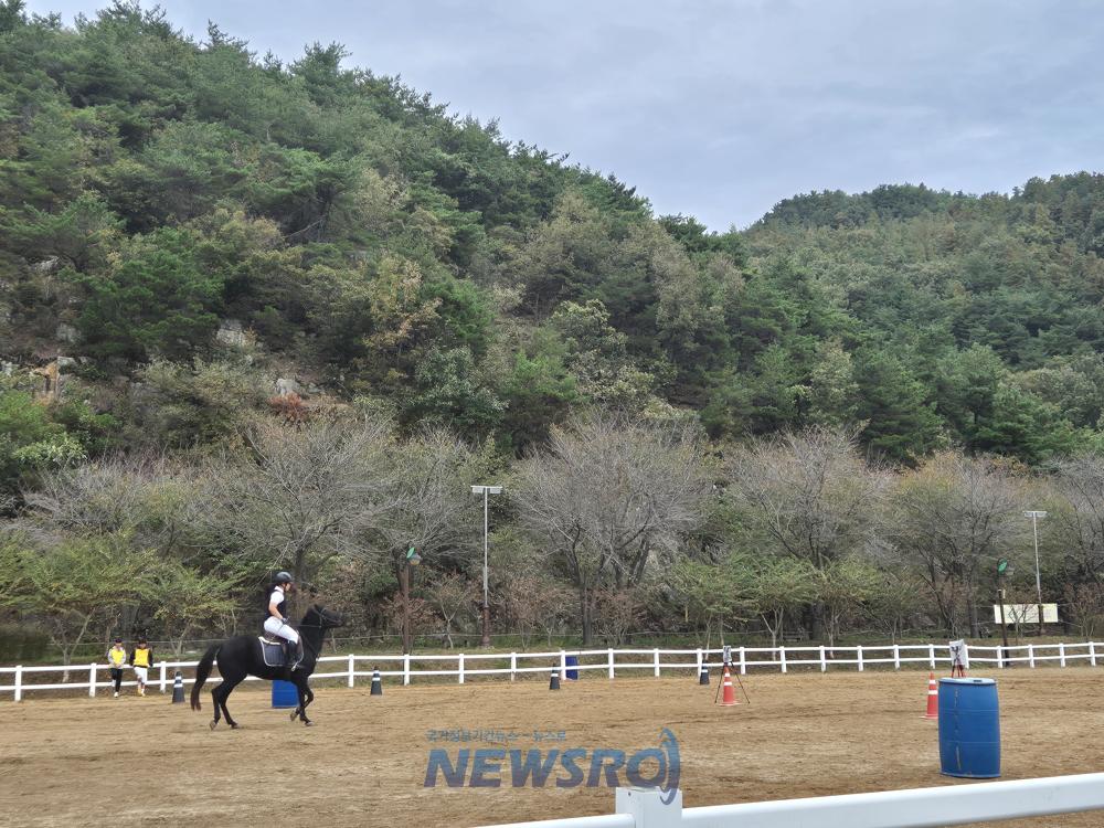고령군, 제8회 대가야 국제 기마무사승마대회 및 제6회 대가야스포츠마차대회 성료