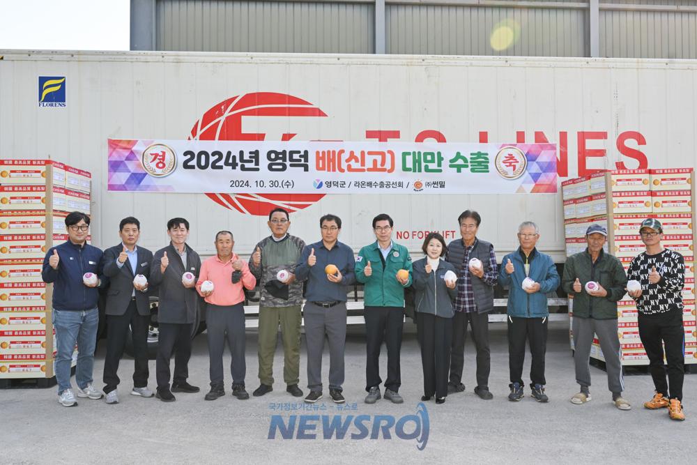 당도 높은 영덕산 신고배, 매년 수출실적 호조