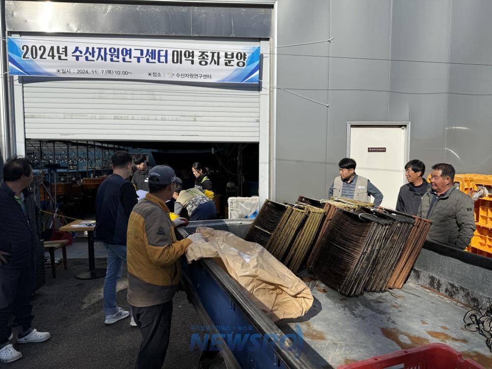 기장군, 자체생산 고품질 기장미역 종자 어업인에 보급
