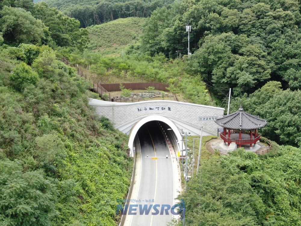증평 율리 분젓치 생태터널, 전국 산림생태복원 기술대전 '특별상' 수상