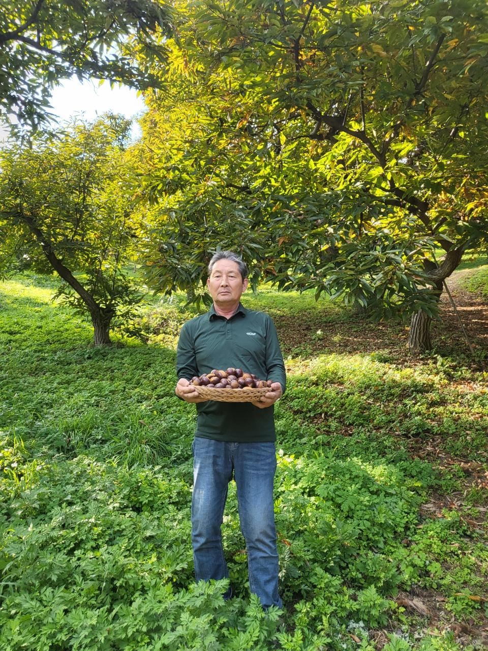 충주, 밤 최우수상 수상 등 다양한 분야에서 우수한 성과 거두다