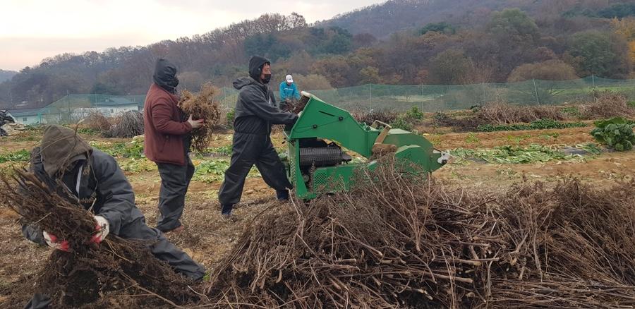 음성군, 영농부산물 안전처리 지원사업 성료