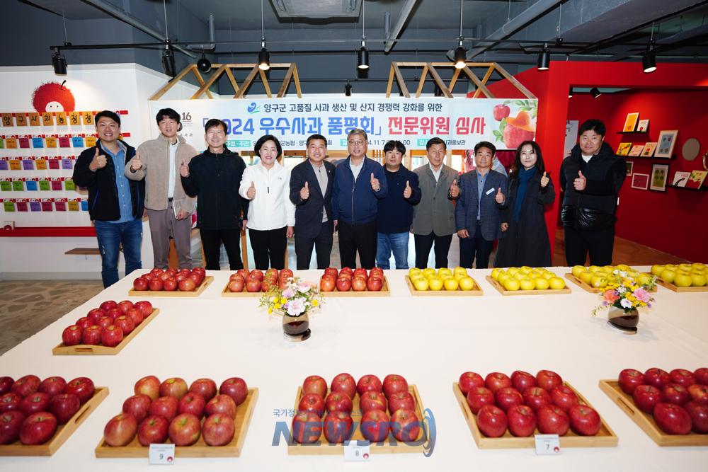 양구 우수 사과 품평회에서 이성일씨 농가 대상