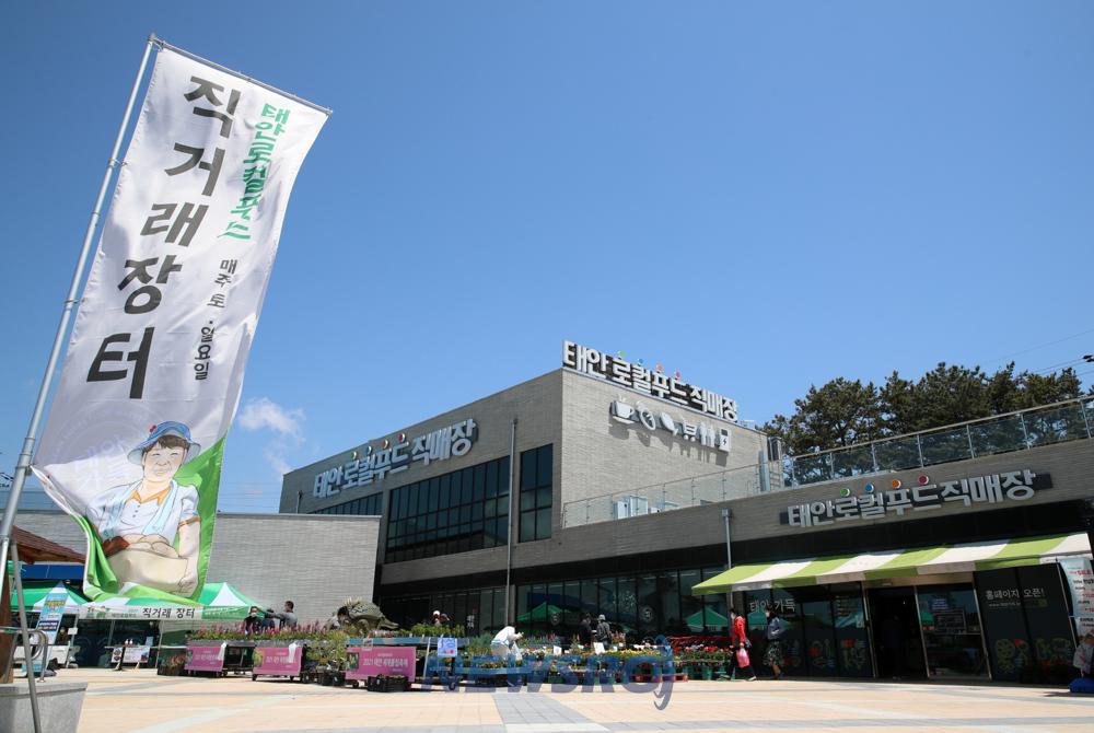 태안군, 김장철 맞아 절임배추·양념 판매