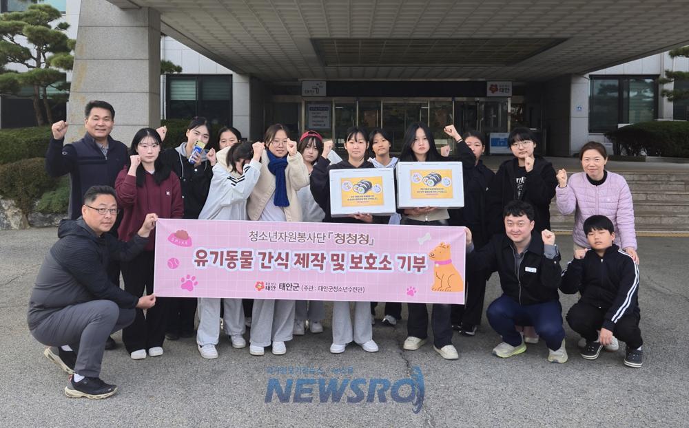 태안 청소년봉사단 '청청청' 활동 시작