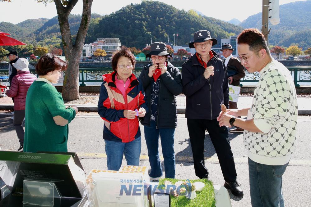 무주군, 제1회 무주반딧불 뚝방야장 개최