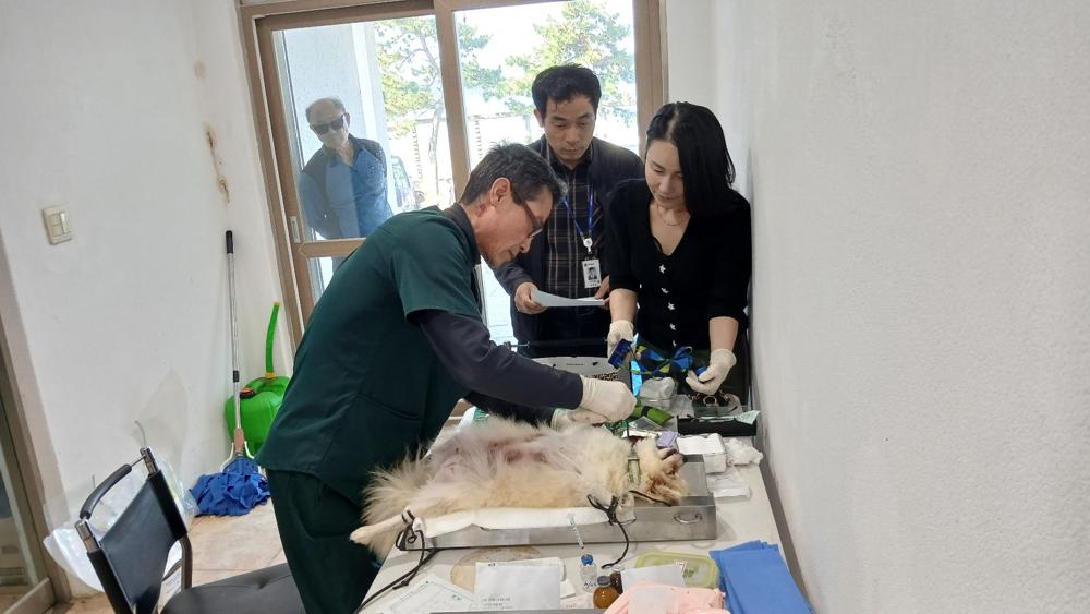부안군, 찾아가는 실외 사육견 중성화 적극행정 추진