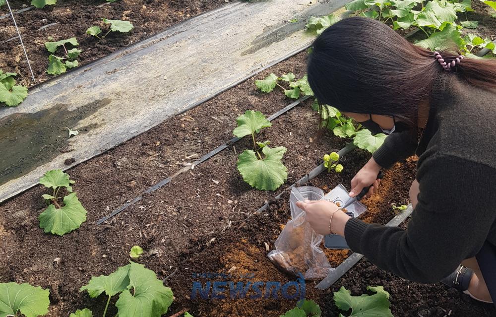 순창군, 공익직불제 화학비료 사용기준 준수 이행점검 실시