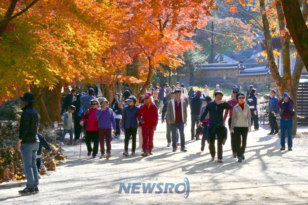 강천산군립공원, 가을 단풍철 방문객 16만 명 돌파